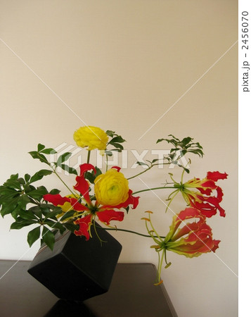 グロリオサとラナンキュラス 2456070