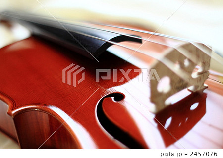 バイオリン　ビオラ　弦楽器 2457076