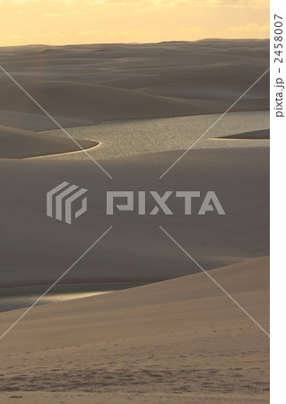 白砂丘のオアシス 2458007