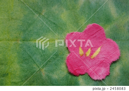 梅の花（緑） 2458083