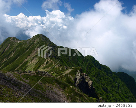 大仙丈ケ岳　夏 2458255