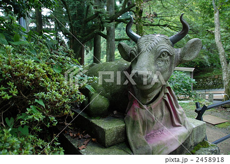 臥牛の像(比叡山延暦寺・東塔地区/滋賀県大津市坂本本町) 臥牛の像(比叡山延暦寺・東塔地区/滋賀県大津市坂本本町) 2458918