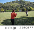 ピクニック 2460677