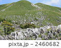 カルスト台地 2460682