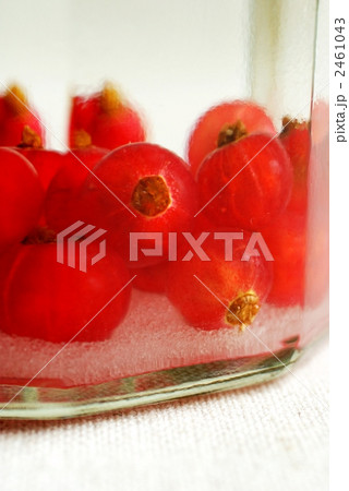 果実酒 果実酒 2461043