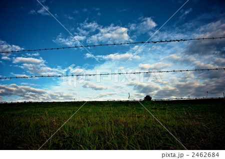 有刺鉄線 2462684