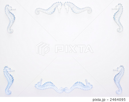 タツノオトシゴのフレーム 2464095