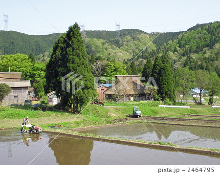 茅葺の里での田植え②　滋賀県　マキノ町在原 2464795