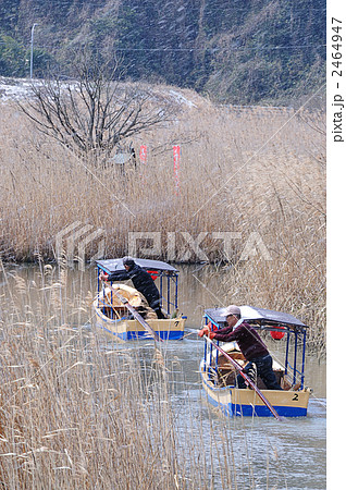 水郷巡り 2464947