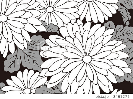 和柄 日本文様 花のイラスト素材 2465272 Pixta
