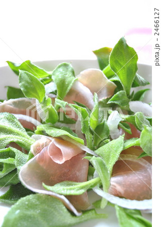 アイスプラントと生ハムのサラダ アイスプラントと生ハムのサラダ 2466127