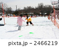 雪合戦 2466219