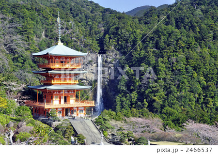 青岸渡寺三重塔と那智の滝 2466537