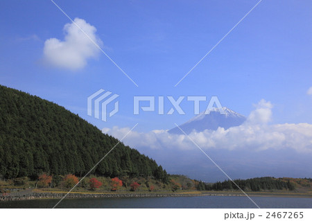 田貫湖からの富士山 2467265