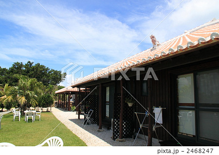 やど家たけのこ やど家たけのこ 2468247