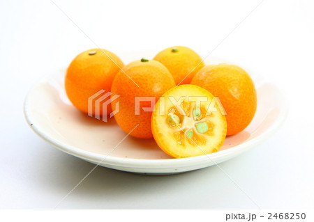 キンカン キンカン 2468250