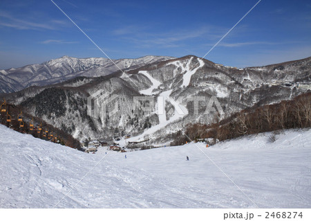 ジャイアントスキー場 ジャイアントスキー場 2468274
