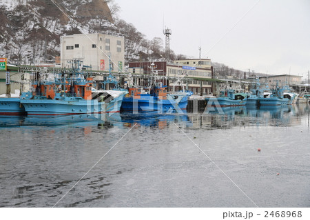 知床半島　羅臼漁港 2468968