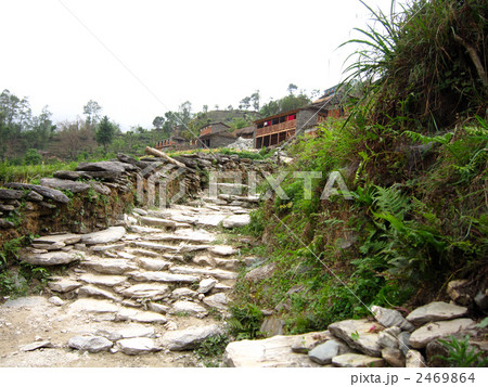 アンナプルナトレッキング シーカにて アンナプルナトレッキング シーカにて 2469864