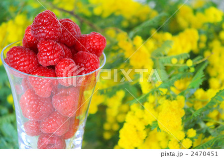 ラズベリー 2470451