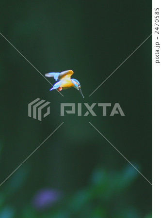 ホバリングから降下体勢へ 2470585