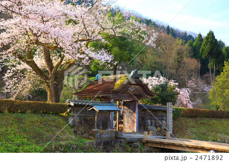 一乗谷朝倉氏遺跡 2471892