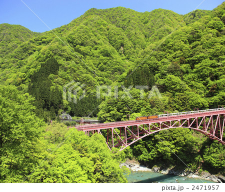 トロッコ列車 2471957