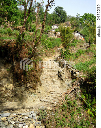 シーカからゴレパニに行く途中 2472239