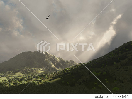 幻想世界（新世界の始まり） 2473644