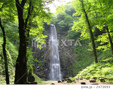 玉簾の滝 玉簾の滝 2473693