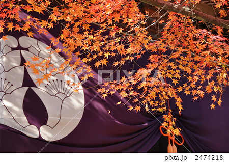 紅葉の光明寺 2474218