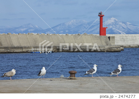 青森　横浜漁港 2474277