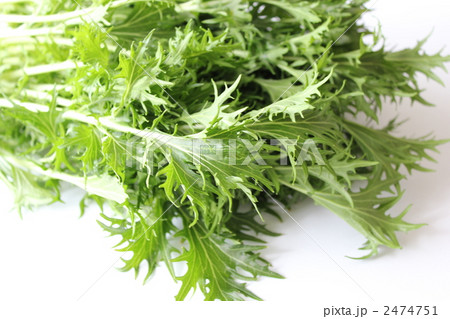 新鮮な水菜 2474751