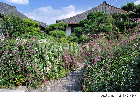常林寺 常林寺 2475797
