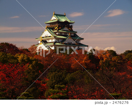 紅葉の大阪城大天守 2476276