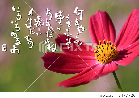 長い人生 2477726