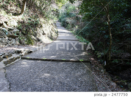 槙尾山 施福寺 2477750