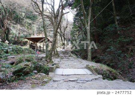 槙尾山 施福寺 2477752