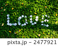 LOVEの言葉 2477921