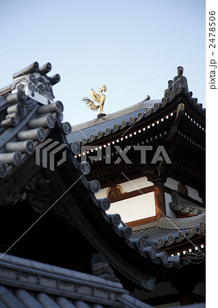 寺町の鳳凰 寺町の鳳凰 2478506
