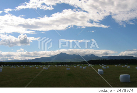 武佐岳と白い牧草ロール 武佐岳と白い牧草ロール 2478974
