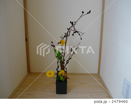 生け花 2479460