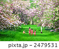 三姉妹 2479531