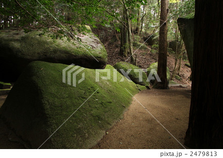 柳生一刀石 2479813