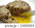 ジューシーハンバーグ 2480003