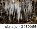 山のつらら 2480066
