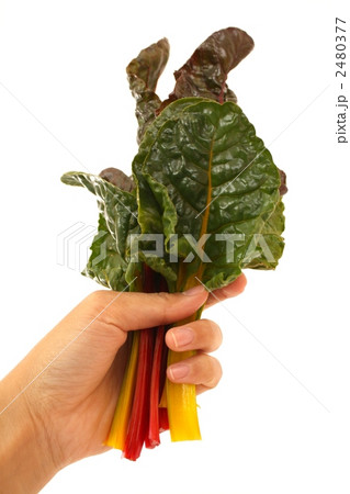 2480377