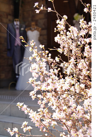 結婚イメージ 2480421