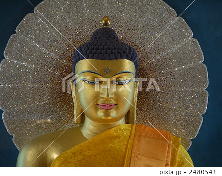 ボードガヤー：マハーボーディー寺院 2480541