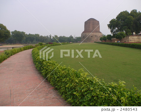 サールナート:ダメーク・ストゥーパ サールナート:ダメーク・ストゥーパ 2480543